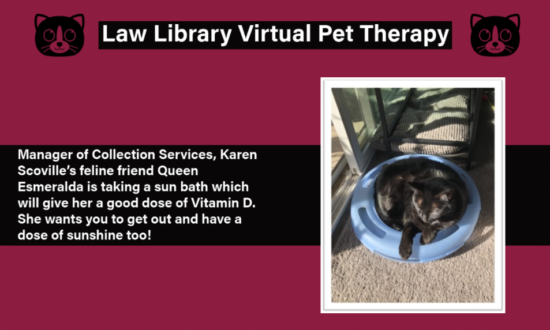 http-lawlibnews-lawnews-asu-org-wp-content-uploads-2020-12-my-post-copy-5-1-1024x572-png