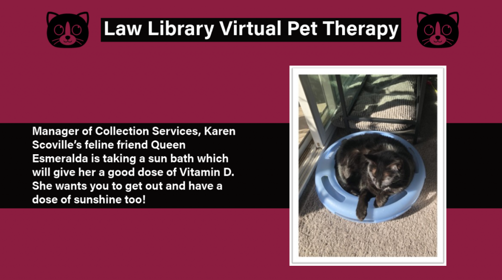 http-lawlibnews-lawnews-asu-org-wp-content-uploads-2020-12-my-post-copy-5-1-1024x572-png