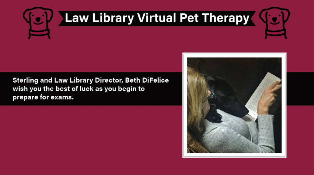 http-lawlibnews-lawnews-asu-org-wp-content-uploads-2020-12-pet-therapy-1024x572-png