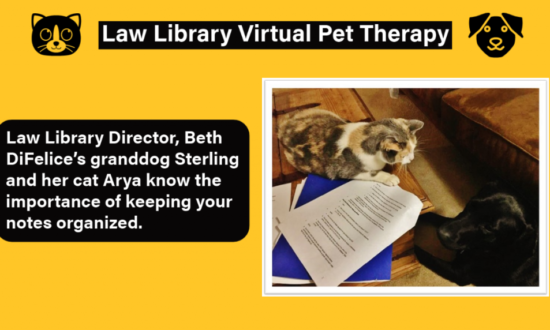 http-lawlibnews-lawnews-asu-org-wp-content-uploads-2020-12-pet-therapy-2-copy-2-1024x572-png