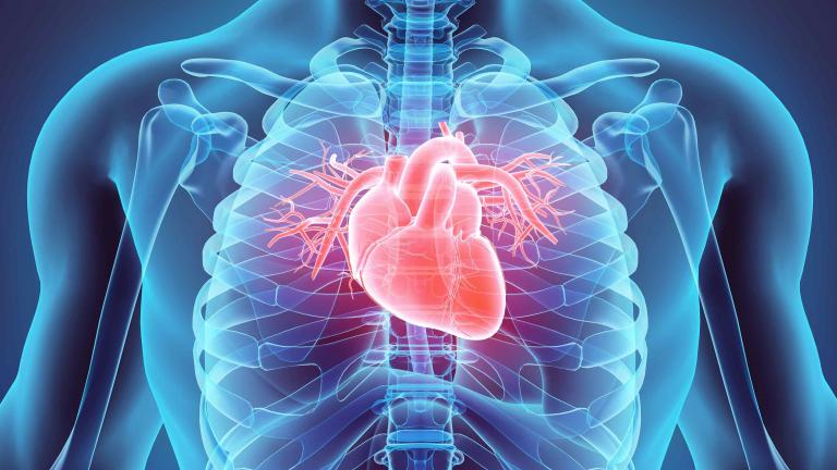 Conquering Cardiovascular Disease | NHLBI, NIH