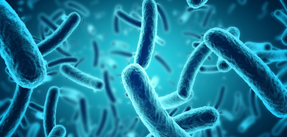 Oxford-led study shows how AI can detect antibiotic resistance in as little as 30 minutes | University of Oxford