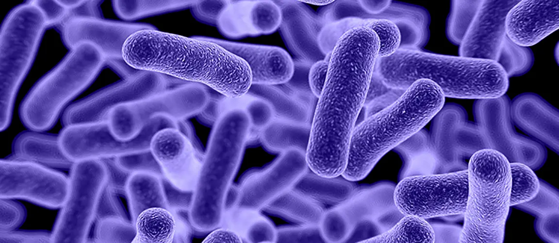 The Battle Against Bacteria